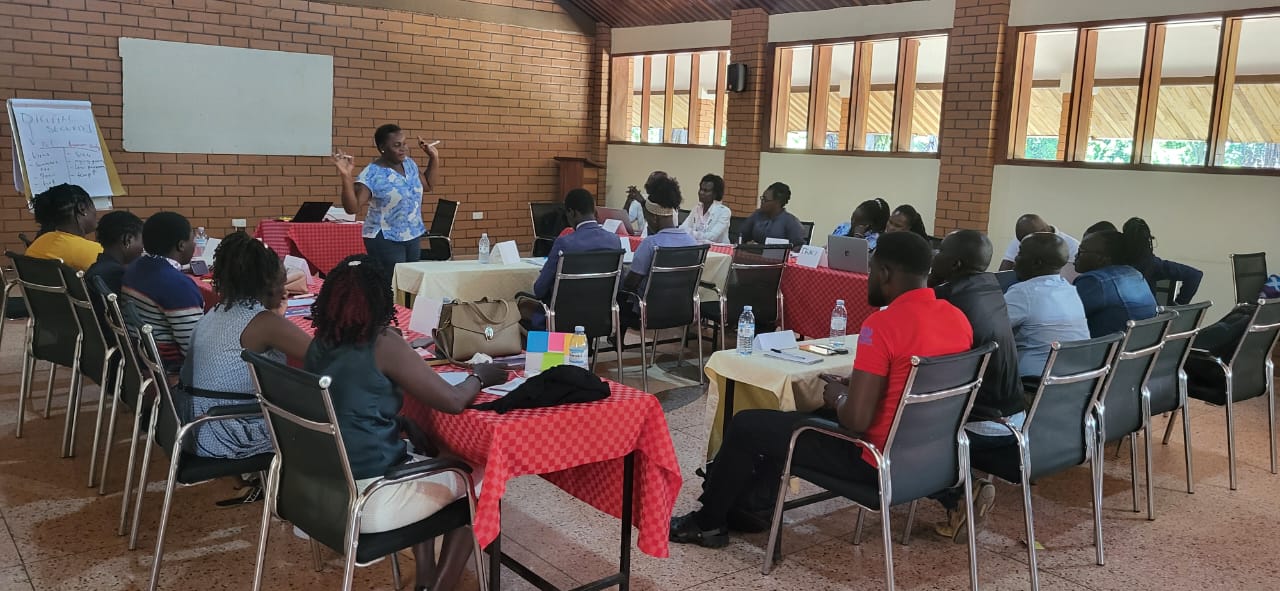 A facilitator presenting to a civic literacy cohort